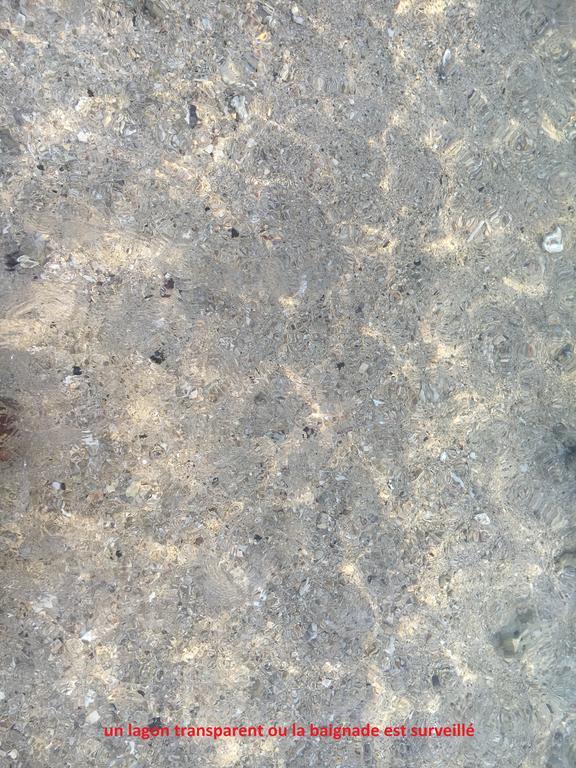Appartamento à pied dans l eau écolo 97434 L'Ermitage-Les-Bains Esterno foto