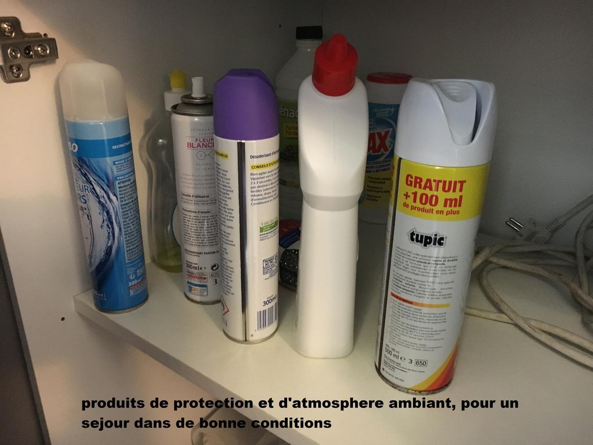 Appartamento à pied dans l eau écolo 97434 L'Ermitage-Les-Bains Esterno foto